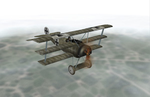 Fokker Dr.I      .jpg